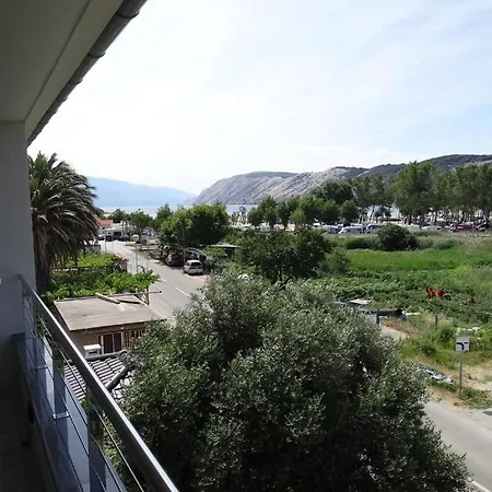 Zorica 2 *